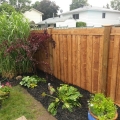 Fence
